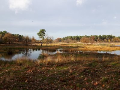 Hatertse_en_Overasseltse_Vennen_(4)